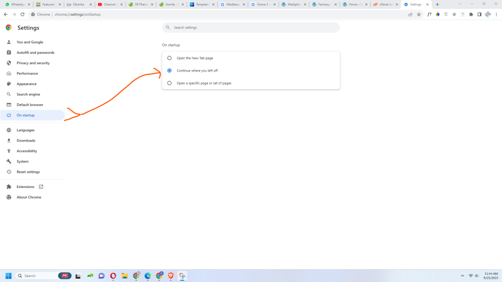 image 2023 09 25 114551438 prevent google chrome tabs from closing